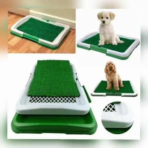 TAPETE DE ENTRENAMIENTO PARA MASCOTAS - Imagen 2