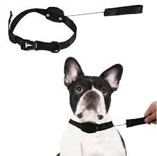 COLLAR MAGNETICO LUCKY LEASH mascotas - Imagen 3