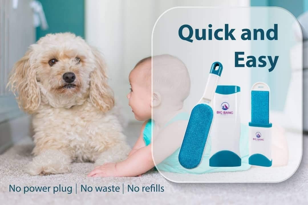 CEPILLO removedor pelo mascotas reutilizable con base - Imagen 2