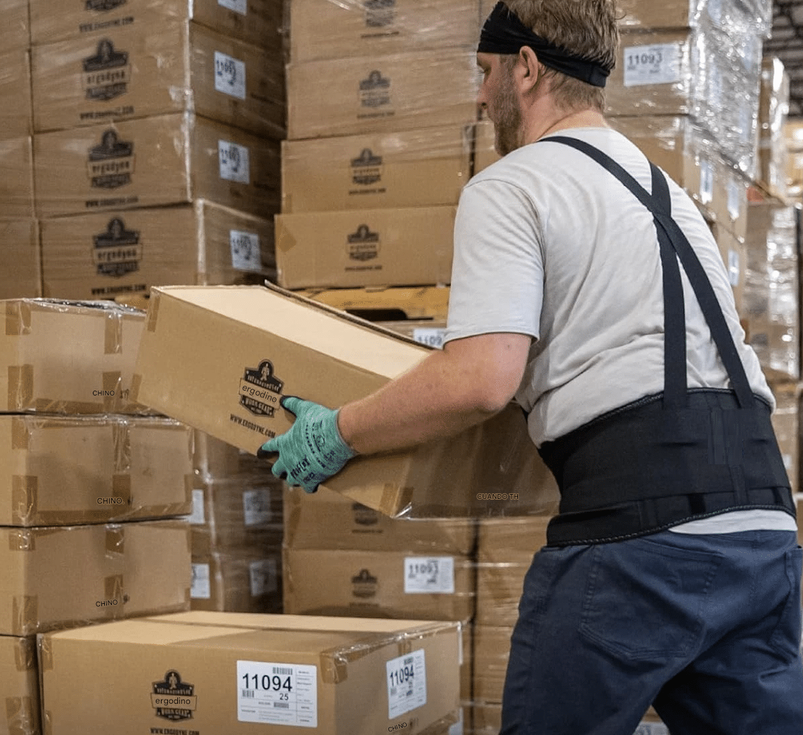 FAJA Carga y fuerza waist support 0776 - Imagen 2