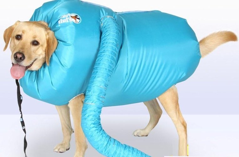 Bolsa de secado de perros para soplado dog dryer