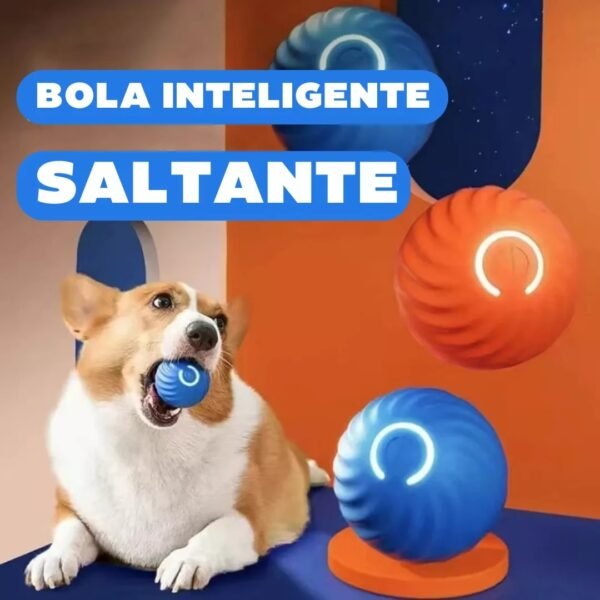 BOLA Pelota de mascota perro gato en movimiento