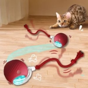 JUGUETE  PELOTA MASCOTAS GATO P02 Interactiva Eléctrica para Gatos con Cuerda
